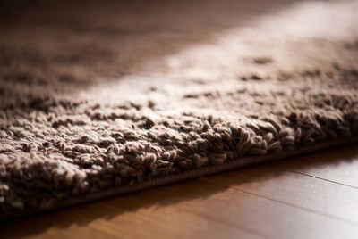 Brown shag carpet edge on floor