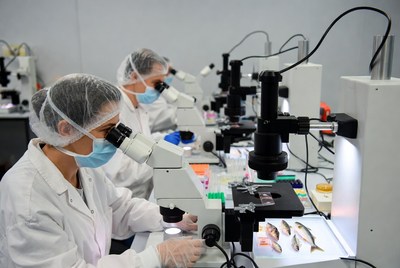 Scientists examining fish under microscopes