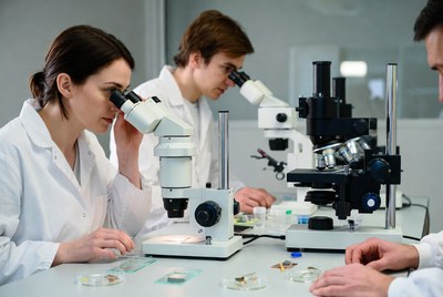 Scientists Examining Slides Under Microscopes