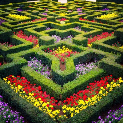 Colorful Formal Hedge Maze Garden