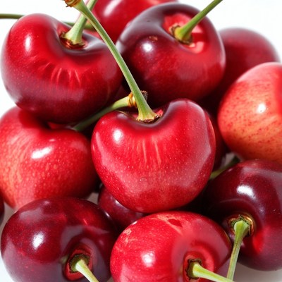 Fresh red cherries on white background