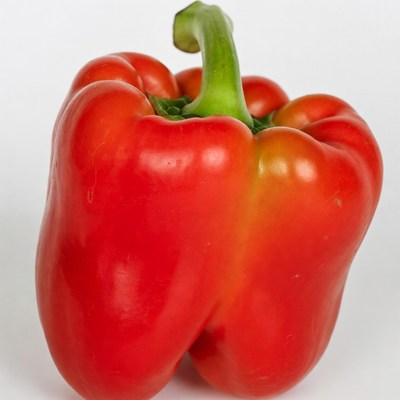Red Bell Pepper