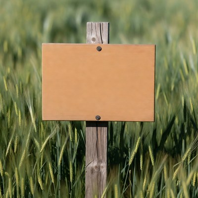 Blank signpost in wheat field