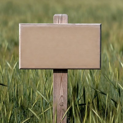 Blank wooden sign in wheat field