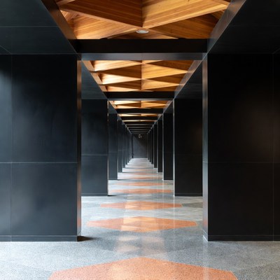 Wooden Geometric Ceiling Corridor