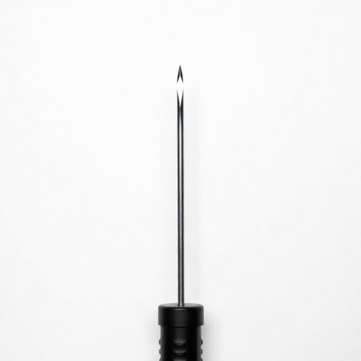 Black Sewing Needle Isolated