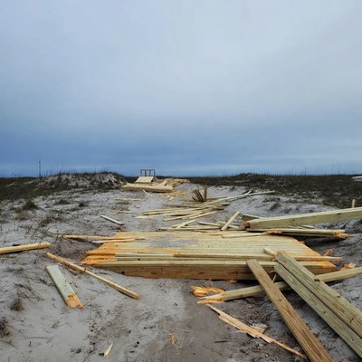 Scattered Wooden Debris on Beach