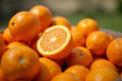 Sliced Orange in Bowl of Oranges