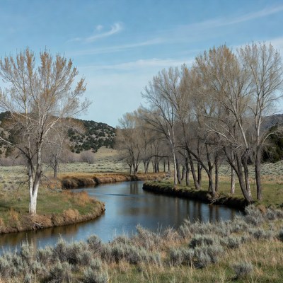 Winding river through autumn trees