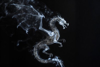 X-ray Dragon on Black Background