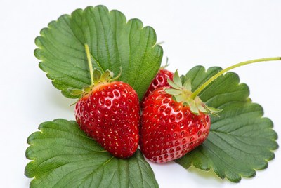 Fresh Strawberries with Green Leaves