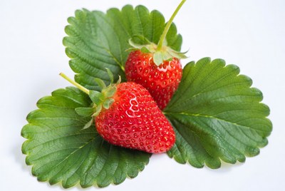 Fresh strawberries with leaves
