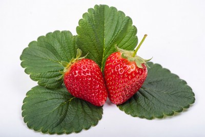 Two Strawberries on Green Leaves