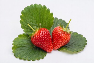Two Fresh Strawberries with Leaves