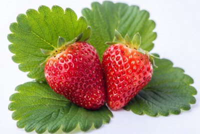 Two Fresh Strawberries on Green Leaves