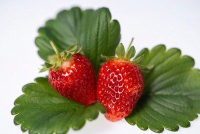 Two Fresh Strawberries on Leaves
