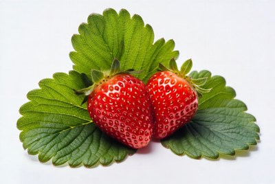 Two Strawberries on Green Leaves