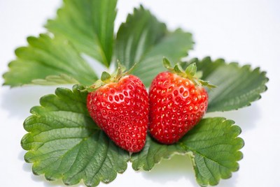 Two Strawberries on Green Leaves