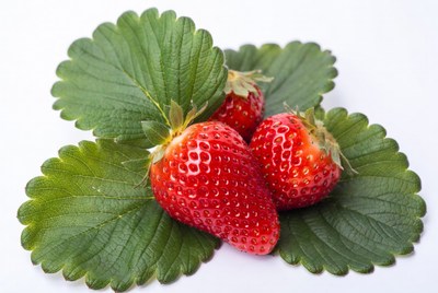 Fresh Strawberries on Green Leaves