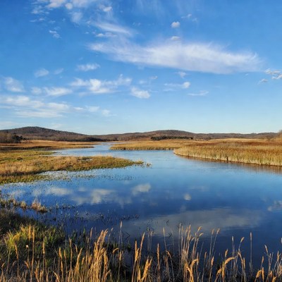 River winding through autumn marsh