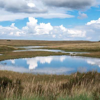 Scenic wetlands with ponds and clouds