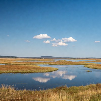 Marshland with water channels under blue sky