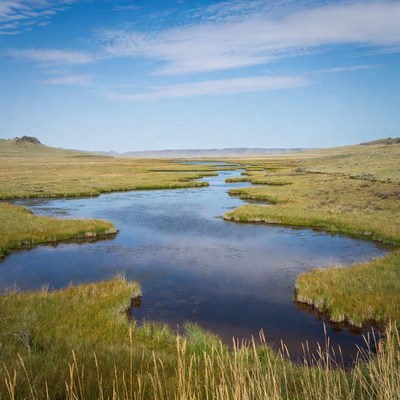 Scenic Marshland with Winding Streams