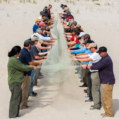 Group pulling fishing net on beach
