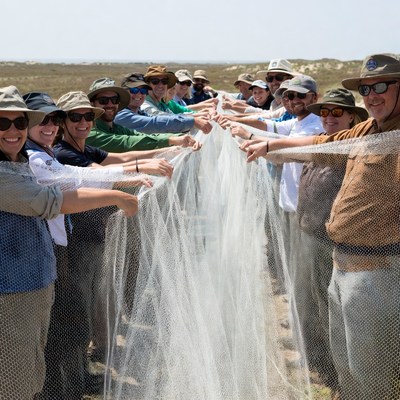 Group pulling fishing net on beach