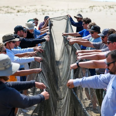 Men pulling large net on beach
