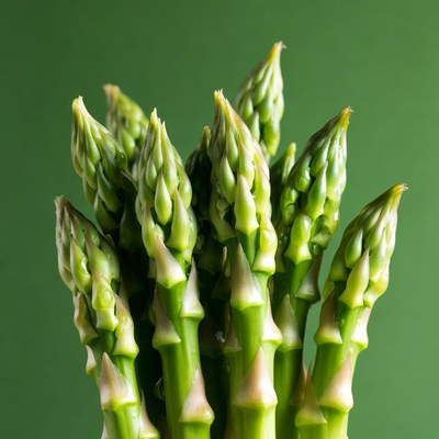 Fresh asparagus spears on green background