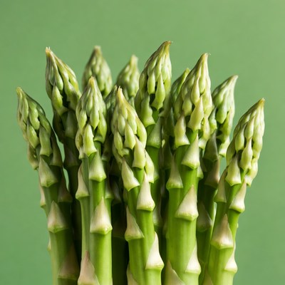 Fresh asparagus spears on green background