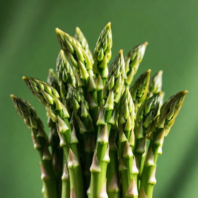 Fresh asparagus spears on green background