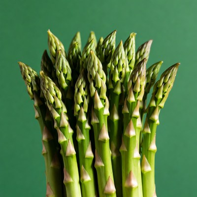 Fresh asparagus spears on green background