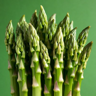 Fresh asparagus spears on green background