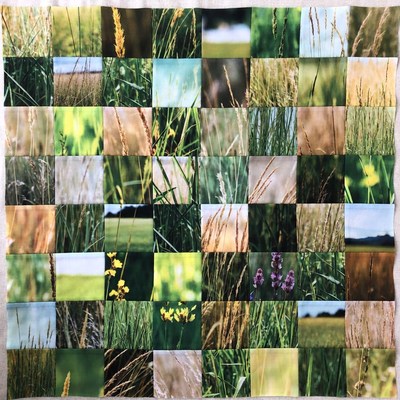 Grass and Field Mosaic Collage