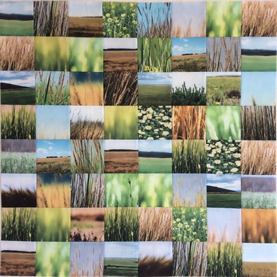 Grass Fields Collage