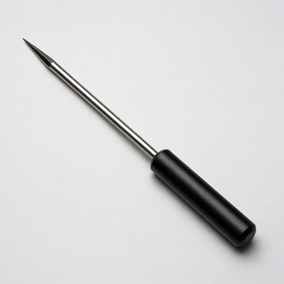 Black-handled metal awl tool