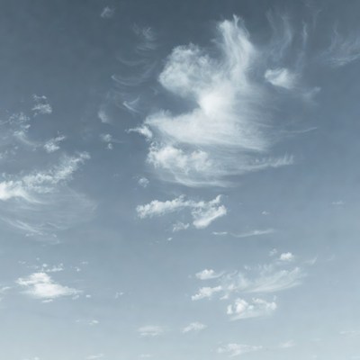 Clouds forming bird shape