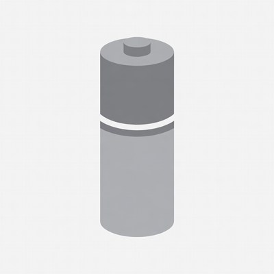 Gray AA Battery Isolated