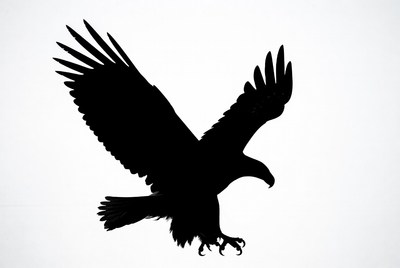 Flying Eagle Silhouette