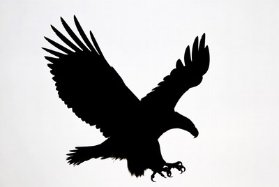 Bald eagle silhouette flying