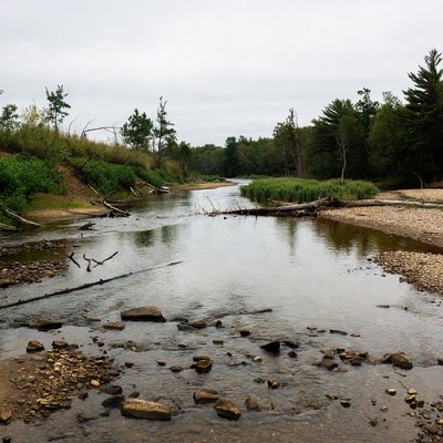 Serene River Flowing Through Forest