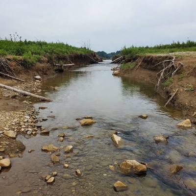 Small creek flowing through grassy banks
