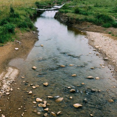 Stream flowing through grassy banks