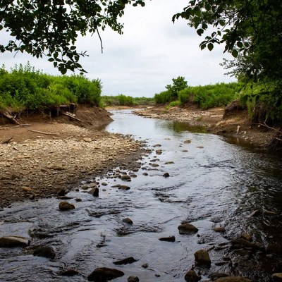 Rocky stream flowing through green banks