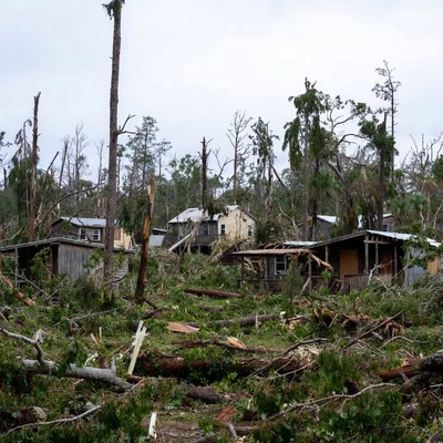 Hurricane-damaged houses amid fallen trees