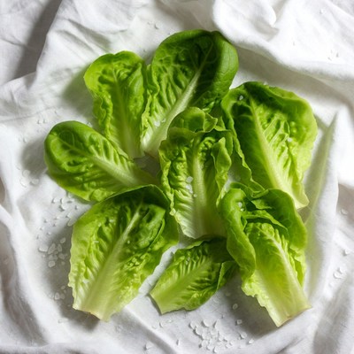 Fresh Lettuce Leaves with Salt