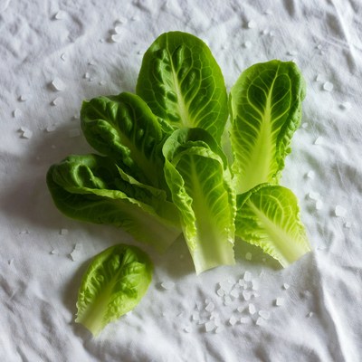 Fresh Romaine Lettuce Leaves with Salt