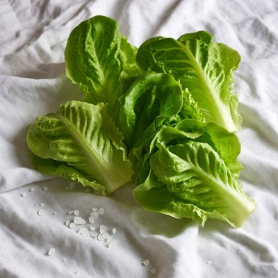 Fresh Lettuce Leaves with Salt